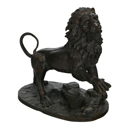 Lion Ready to Fight