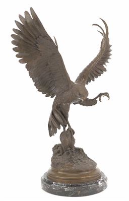 "Falcon"