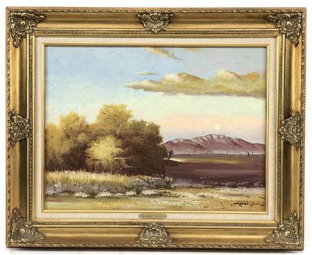 "DESERT VISTA"