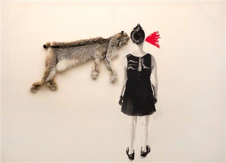ROADKILL LYNX, 2017
