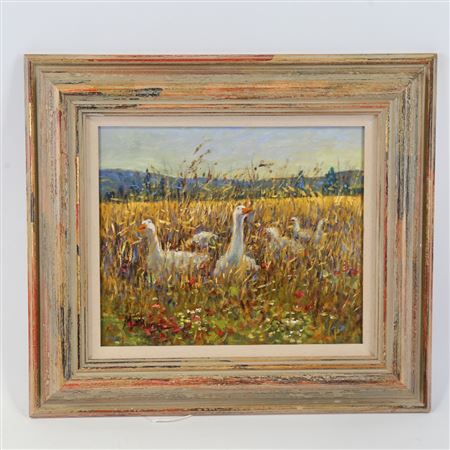 Geese in a meadow
