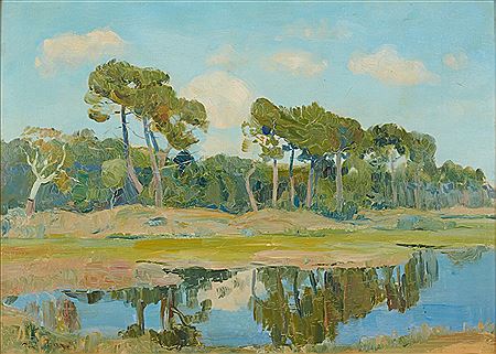 The white pond in Seignosse