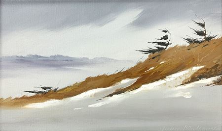 Windswept