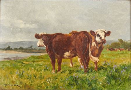 Two cows
