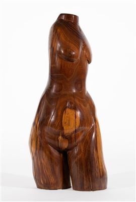 Torso