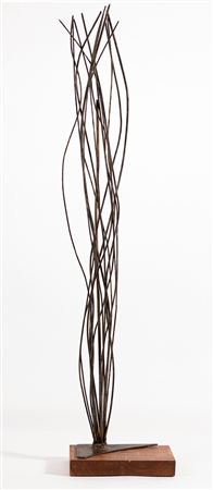 Tall Grass