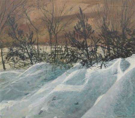'Snow blown garden' by Victoria Crowe - Auction record, sale price, and art valuation. Compare with similar artists and explore comparable artworks.