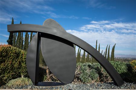 Vidal (Notes from the Campus Gate Series), 1992