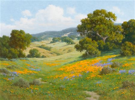 Santa Barbara Back Country by David Chapple - Auction record, sale price, and art valuation. Compare with similar artists and explore comparable artworks.