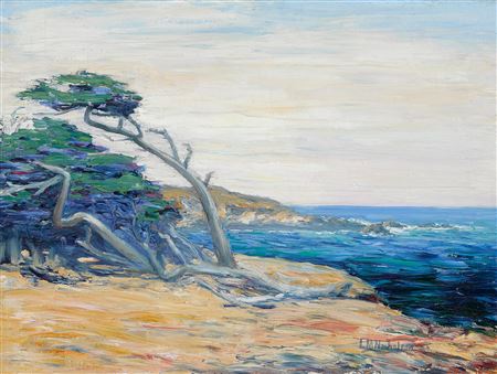 Fallen Cypress at Blue Inlet