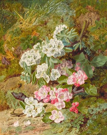 A mossy woodland floor with primroses by Thomas Worsey - Auction record, sale price, and art valuation. Compare with similar artists and explore comparable artworks.