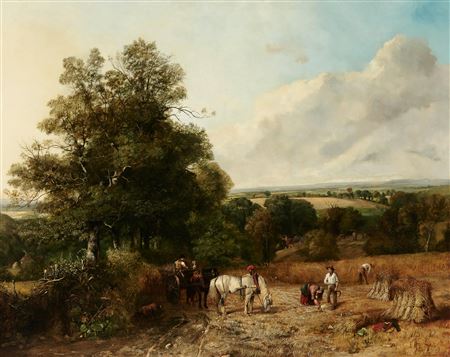 Harvest Time