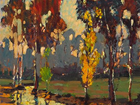 Trees along a stream