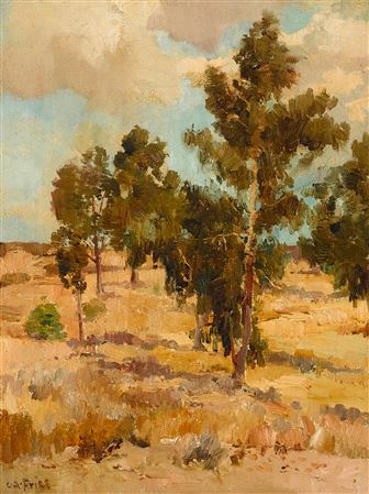 Eucalyptus Grove - Balboa Park before the Exposition
