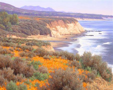 South Coast Splendor