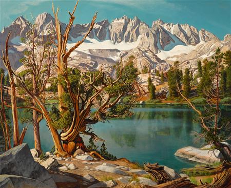 Old Whitebark Pine Tree at Summit Lake, Nth Palisade Range, Big Pine, California