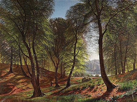 Forest scenery from Jægersborg Hegn