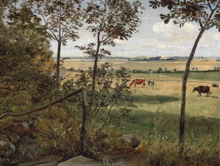 Summer landscape with cows seen from Sandgraven in Vejby towards Ørby Bavn.
