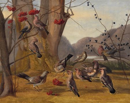 Landscape with a flock of waxwings (silkehaler) eating rowanberries (rønnebær) and slowberries (slåen)