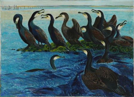 Birds