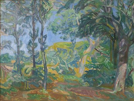Forest scene