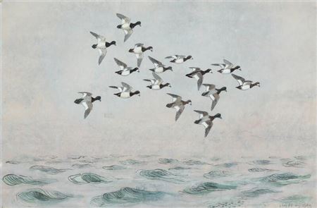 Ducks at sea