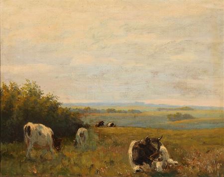 Evening landscape with cows on the field