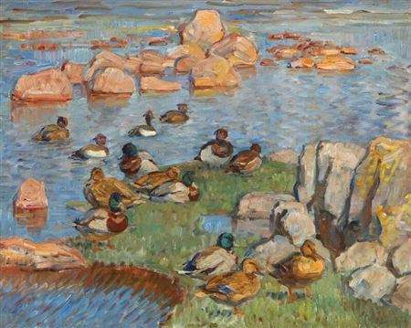 A lake with ducks.