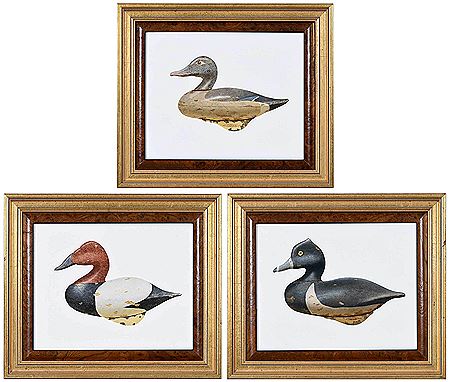 Three Duck Decoy Paintings