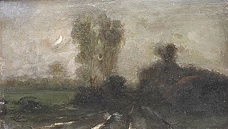 Woodpath at night