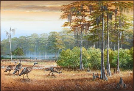 Four Turkeys in a Florida Landscape