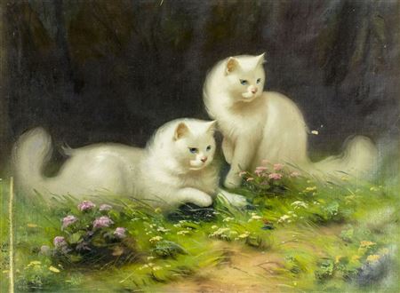 Two Cats
