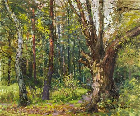 Forest Landscape