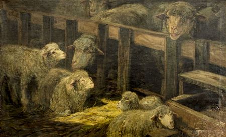 Lambs and Ewes in the Fold