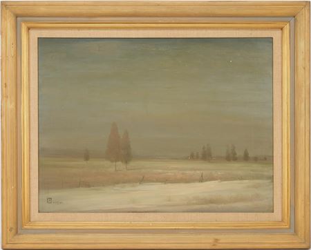 Nocturnal landscape
