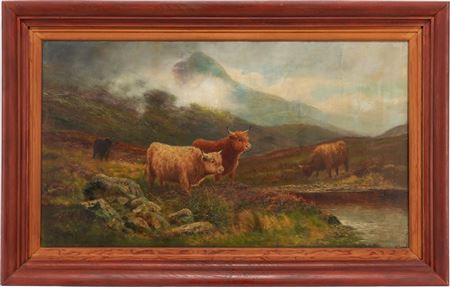 Highland Cattle