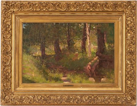 Hiker in a Forest