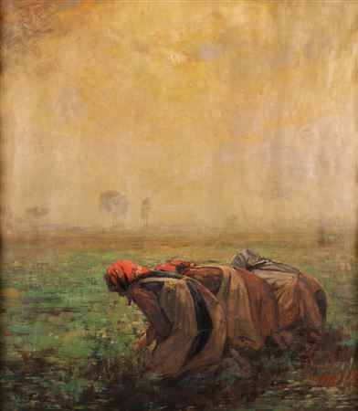 Veldwerksters field workers