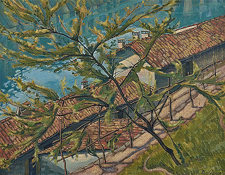 Vue sur les toits d'un village tessinois