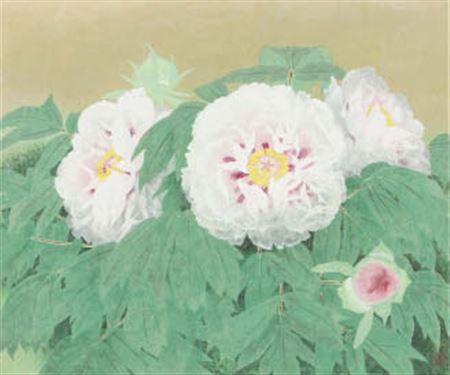 Peonies