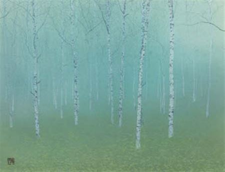 Hazy birch grove