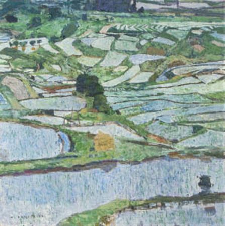 View of terraced fields
