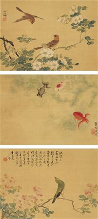 Flowers and Insects (8)