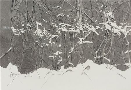 Vine 21-03 by Hui Lu - Auction record, sale price, and art valuation. Compare with similar artists and explore comparable artworks.