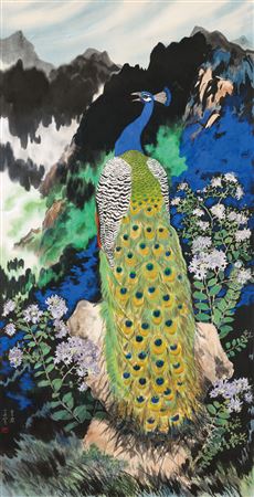 Peacock in Spring Haze
