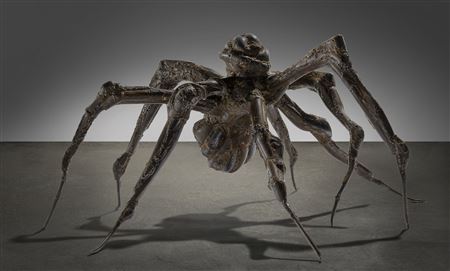 Spider V