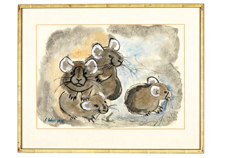 Cuckoo; and Chinchillas