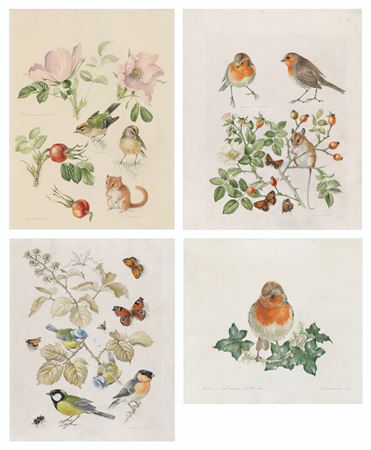 Dormouse, goldcrest and rose 'Fru dagmar hastrup'; Robin, field mouse and rose 'Rugosa alba'; Blue tit, great tit and bullfinch on a bramble; Robin on ivy (4)