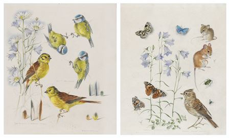 Studies of yellowhammer and blue tits, with harebells and daisies; Skylark and fieldmouse with butterflies and harebells; Bullfinch with borage (2)