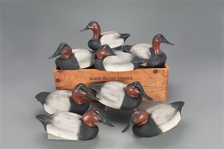 Important Rig of Eight Canvasback Drakes